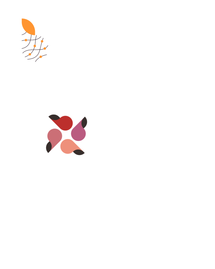 Organizacao 2 e1776264396659